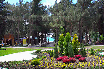 Парк 'Солнечная' лок пансионат, Геленджик, Черноморское побережье России
